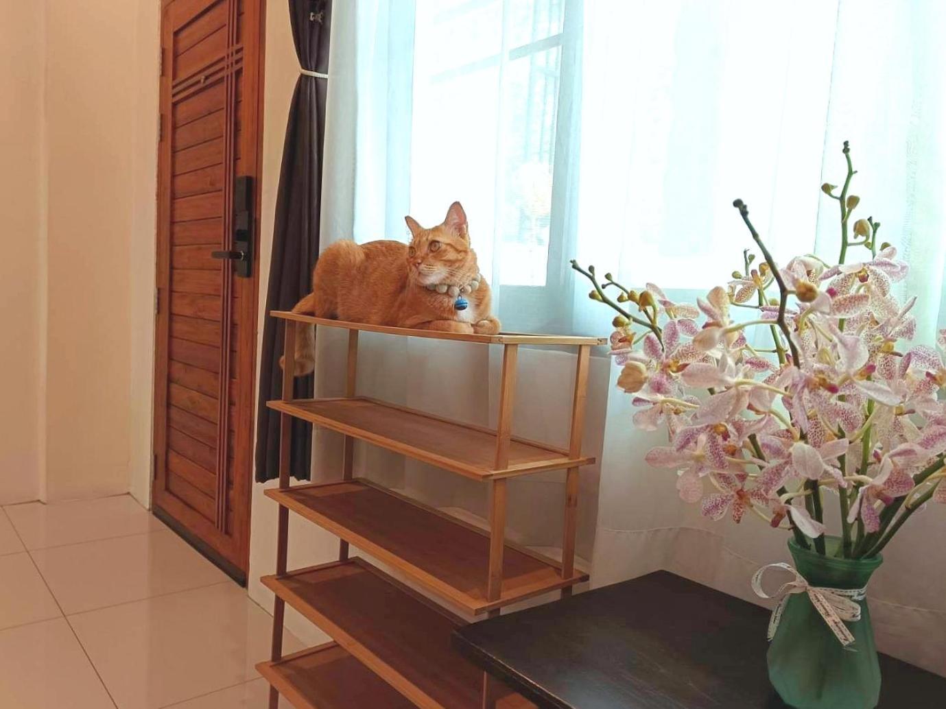 Sasima Bed And Breakfast Chiang Mai Exterior photo
